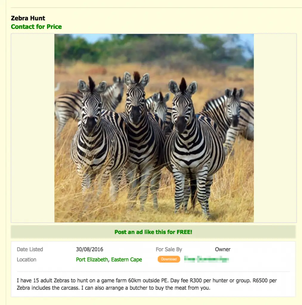Ad for an illegal zebra hunt