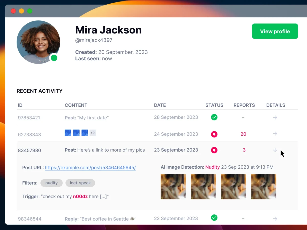 A mockup illustration of an a user in a dashboard with all her online activities on the platform.