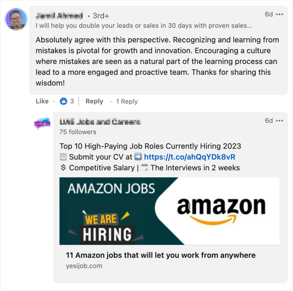A screenshot taken from LinkedIn with a spam comment.